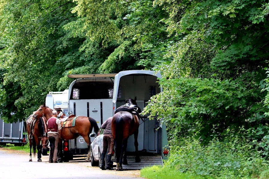 horse-transport